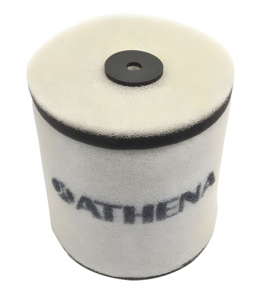 Elemento filtrante de aire filtro de aire Athena para Honda EX 250 Sportrax 01-13/TRX 250 EX 01-14/TRX 250 TE/TM 12-20