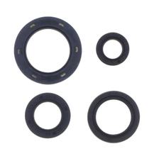 Engine gaskets oil seals engine gasket set Athena for Honda FES 250 98-99