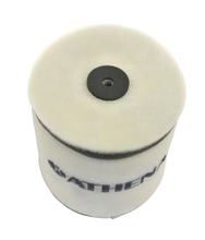Luftfilter Luftfiltereinsatz Athena für Honda Rancher 400 04-07 / ES 350 Rancher 00-06