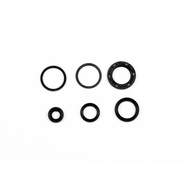 Motorpakkingen Krukaskeerring Motor Complete Pakkingset Athena voor Honda Forza 250 05-07