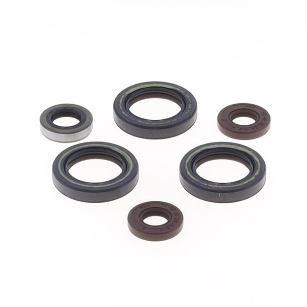 Motorpakkingen, krukaskeerring, motorset Athena voor Sherco SE-R 125 18-21