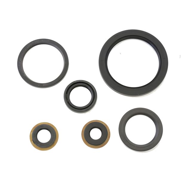 Engine Seals Oil Seals Engine Gasket Set Athena for Yamaha YFM Big Bear 250 05-08/Bruin 250 05-08