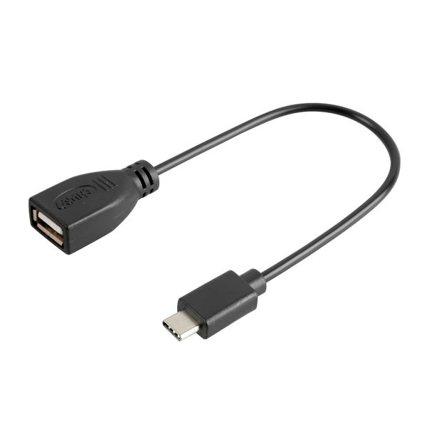 Cavo Lampada USB USB Tipo-C - 20 cm - Nero