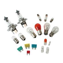 Kit Lampadine Sostitutive 19 pz, Alogene 2x H4 - 12V