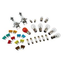 Kit de Lâmpadas Substituto 30 Pçs., Halogéneo 2xH4 - 24V