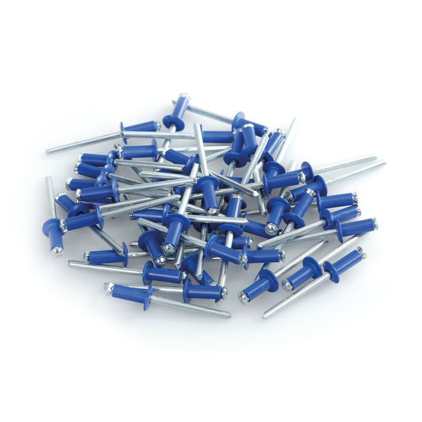 Rivetti in alluminio, set di 50 rivetti ciechi per portatarga - Blu