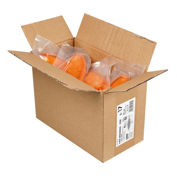 Set 20 stuks, Omrissleuchte met 4 LED's, Opbouwmontage, 12/24V - Oranje
