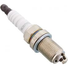 Candela Champion OE033