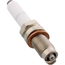 Candela Champion OE244
