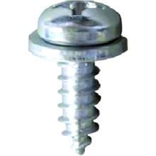Śruba do tablicy rejestracyjnej JMP 5.5x16mm 10 sztuk