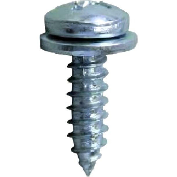 Vite per targa JMP 5,5 x 19 mm 10 pezzi