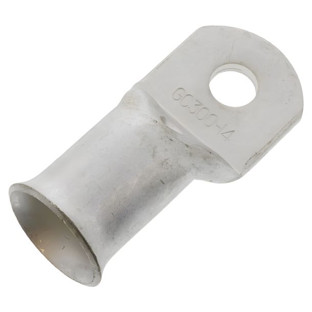 Ringzunge JMP 300,0 M14  1 Stück