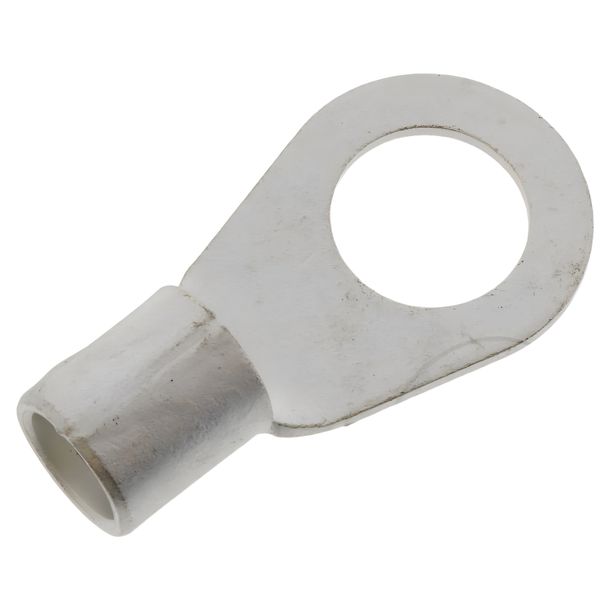 Ringzunge JMP 50,0 M16  1 Stück