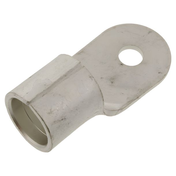 Ringzunge JMP 70,0 M6  1 Stück