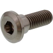 Schraube JMP Bremsscheibe  Bolt M8x1,25mm 24mm Titan für Honda CBR R CBF FA F / 110 / 125 / 150 / 250 / 300 / 350 / 400 / 450 / 500 / 550 / 600 / 650