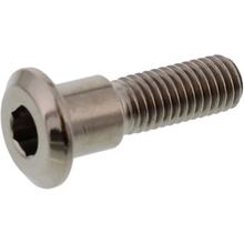 Schraube JMP Bremsscheibe  Bolt M8x1,25mm 30mm Titan für Triumph Speed Triple i EFI / R Trident ABS Tiger GT Rally RS Daytona Street Sprint ST 600 / 650