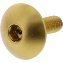 Śruba JMP owalna Śruba M5x0.8 mm 16mm aluminium złota