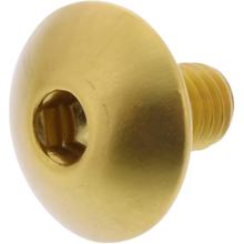 Lensbout JMP Bolt M6x1,00mm 10mm aluminium goud