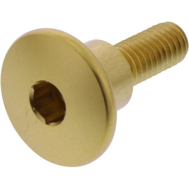 Vis ovale JMP Bolt M6x1.00mm 22mm aluminium doré