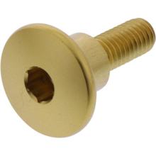 Vis ovale JMP Bolt M6x1.00mm 22mm aluminium doré
