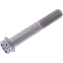 JMP 6-Point Bolt M10x1.25 60mm Stainless Steel V4A Racing Screw