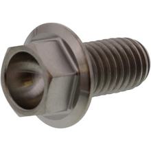 Schraube JMP 6 Kant  Bolt M8x1,25 15mm Titan