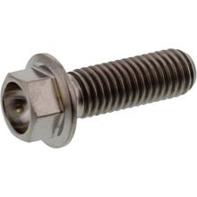 Schraube JMP 6 Kant  Bolt M8x1,25 25mm Titan für Aprilia Leonardo SR Stealth LC RX MX Sportcity , Derbi Rambla 2 1 RS4 i.e. Senda R 4V DRD / SM Sport