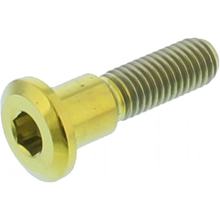 Schraube JMP Bremsscheibe  Bolt M8x1,25mm 33mm Titan gold für Suzuki GSF N / S Bandit GSX R 125 / 250 / 400 / 500 / 600 / 650 / 750 / 800 / 900 / 1000