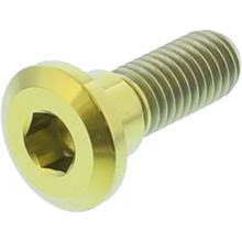 Schraube JMP Bremsscheibe  Bolt M8x1,25mm 24mm Titan gold für Honda CBR R CBF FA F / 110 / 125 / 150 / 250 / 300 / 350 / 400 / 450 / 500 / 550 / 600 /