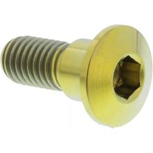 Schraube JMP Bremsscheibe  Bolt M8x1,25mm 22mm Titan gold für Suzuki GSX 0 FA F / GSF Bandit SA R 125 / 150 / 200 / 250 / 400 / 450 / 500 / 550 / 600