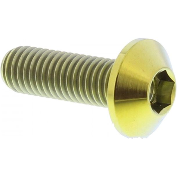 JMP brake disc bolt M8x1.25mm 25mm titanium gold for Yamaha FZS Fazer/ S XJ6 Diversion ABS F XJ YZF-R1 250/400/500/530/600/650/750