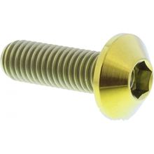 Schraube JMP Bremsscheibe  Bolt M8x1,25mm 25mm Titan gold für Yamaha FZS Fazer / S XJ6 Diversion ABS F XJ YZF-R1 250 / 400 / 500 / 530 / 600 / 650 / 750