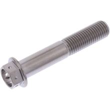 Schraube JMP 6 Kant  Bolt M10x1,25mm 55mm Titan Racing