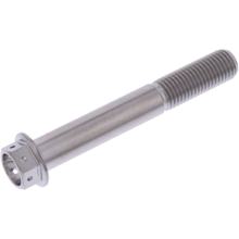 Schraube JMP 6 Kant  Bolt M10x1,25mm 70mm Titan Racing