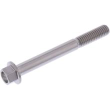 Schraube JMP 6 Kant  Bolt M6x1,00mm 55mm Titan