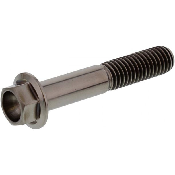 JMP 6-Point Bolt Screw M8x1.25 45mm Titanium
