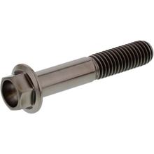 Schraube JMP 6 Kant  Bolt M8x1,25 45mm Titan