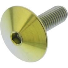 Vis ovale JMP M5x0,8 mm 16 mm en titane doré