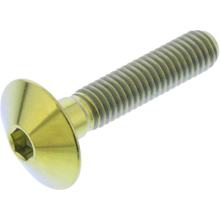 Vis ovale JMP M6x1.00mm 30mm titane doré