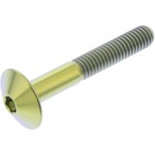 Vis ovale JMP M6x1.00mm 40mm titane doré
