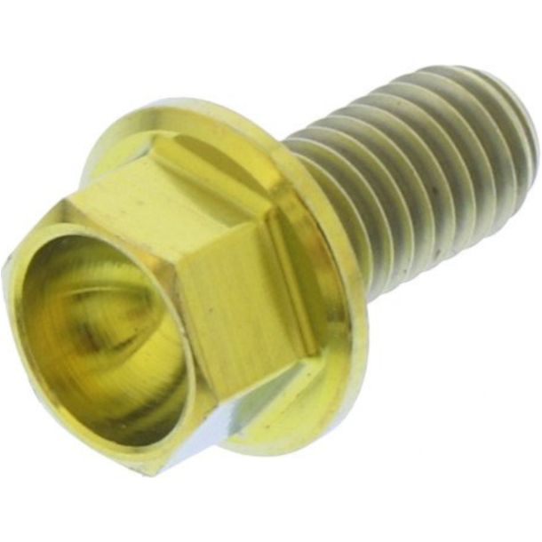 JMP hexagonal bolt M5x0.8mm 10mm titanium gold
