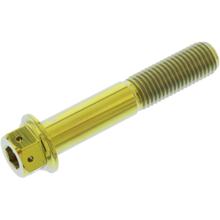 JMP Dual Drive M10x1.25mm 55mm Titanium Racing Złota Śruba