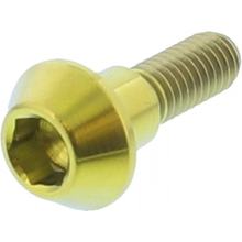 Schraube JMP für Bremsscheibe M6x1,00mm 20mm Titan gold, Suzuki GSX R S 600 / 750 / 1000 ccm Bj. 2008 - 2018