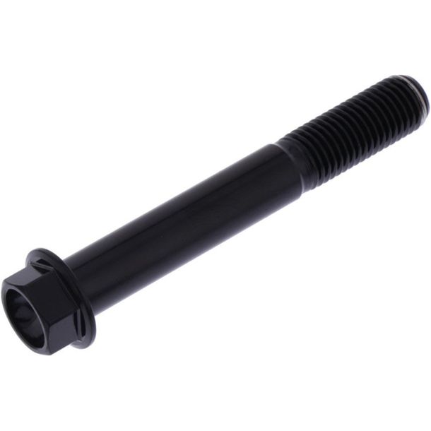 JMP hexagon bolt M10x1.25mm 70mm stainless steel V4A black
