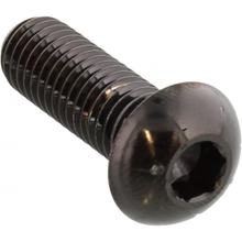 Schroef JMP voor remschijf M8x1,25mm 25mm RVS 316 zwart, BMW R GS Adventure 1 125 / 200 / 800 / 850 / 1000 / 1100 / 1150 / 1200 cc