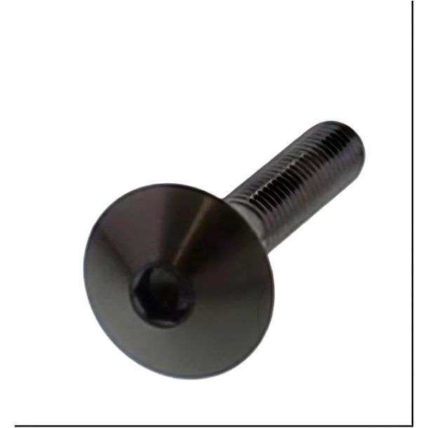 Tornillo ovalado JMP M6x1.00mm 30 mm acero inoxidable V4A negro