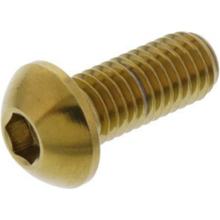 Parafuso JMP para Disco de Freio M8x1,25mm 20mm Aço Inoxidável V4A dourado, BMW R GS Adventure 1 125 / 200 / 400 / 620 / 696 / 749 / 796 / 797 / 800 / 820 / 821