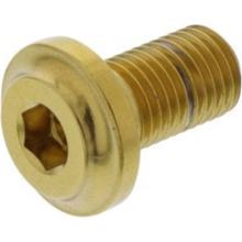Schraube JMP für Bremsscheibe M8x1,00mm 13mm Edelstahl V4A gold, Ducati Monster / S ABS Panigale Hypermotard Evo Multistrada Streetfighter R SP 796 /