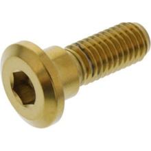 Schraube JMP für Bremsscheibe M8x1,25mm 24mm Edelstahl V4A gold, Honda CBR R CBF FA F / 110 / 125 / 150 / 250 / 300 / 350 / 400 / 450 / 500 / 550 / 600