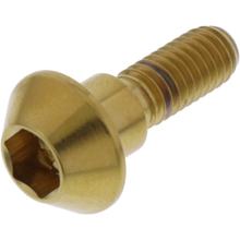 Śruba JMP do tarczy hamulcowej M6x1.00mm 20mm stal nierdzewna V4A złota